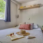 Zecamping 5 Club Enfant Parc Aquatique Bat Et Restaurant 5*